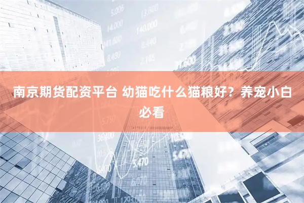 南京期货配资平台 幼猫吃什么猫粮好？养宠小白必看