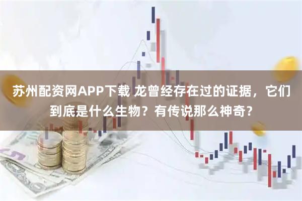 苏州配资网APP下载 龙曾经存在过的证据，它们到底是什么生物？有传说那么神奇？